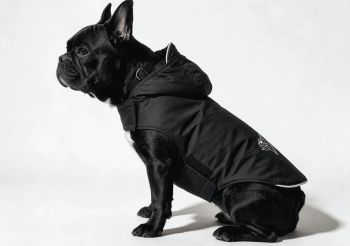 BLACK VELKRO