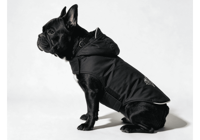 BLACK VELKRO