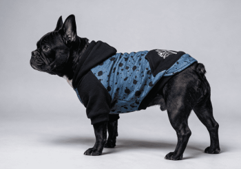BLACK SPOT