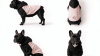 POWDER PINK