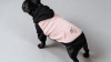 POWDER PINK