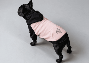 POWDER PINK POWDER PINK