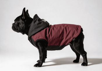 BLACK BURGUNDY