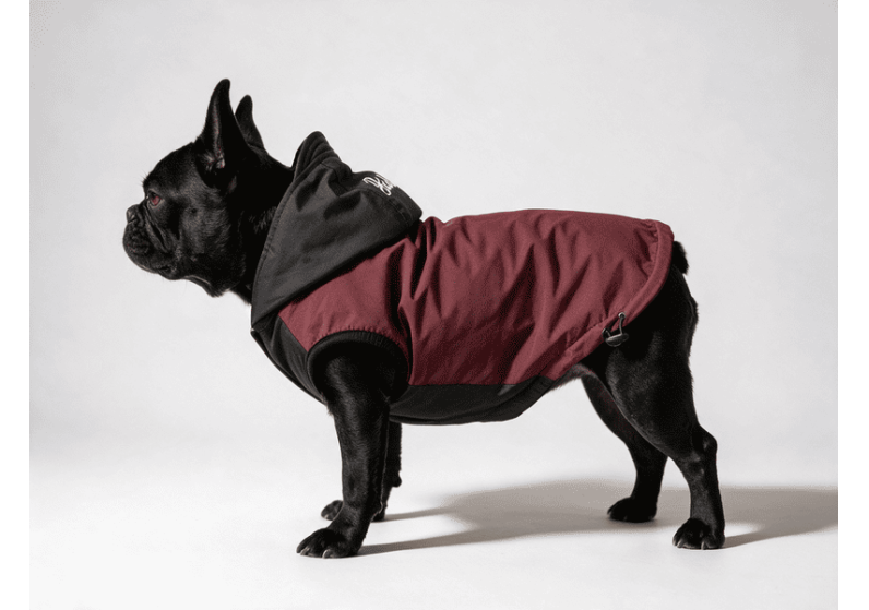 BLACK BURGUNDY