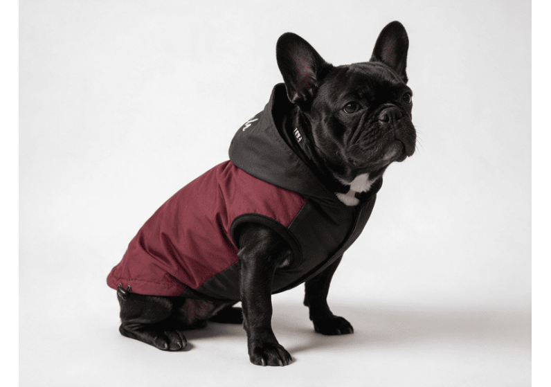 BLACK BURGUNDY