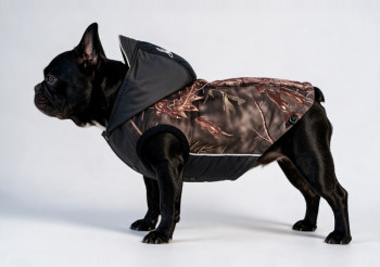BLACK HUNTER