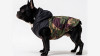 BLACK CAMO veste