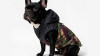 BLACK CAMO veste