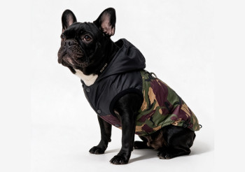 BLACK CAMO veste BLACK CAMO veste