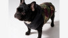 BLACK CAMO veste