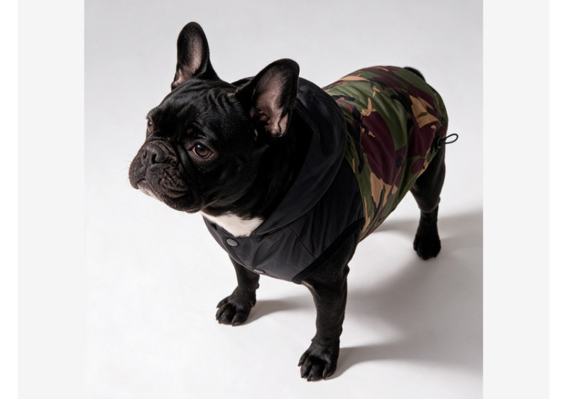 BLACK CAMO veste