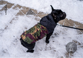 BLACK CAMO veste BLACK CAMO veste