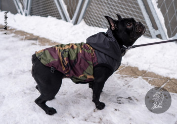 BLACK CAMO veste BLACK CAMO veste