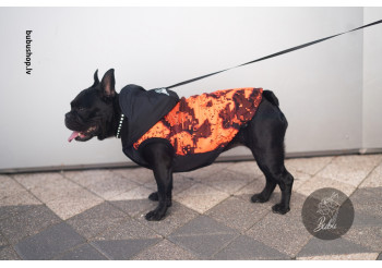 ORANGE PIXEL ORANGE PIXEL