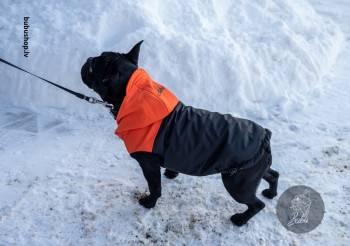 BLACK&ORANGE BLACK&ORANGE