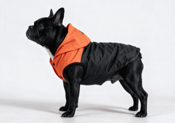 BLACK&ORANGE
