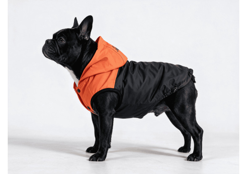 BLACK&ORANGE