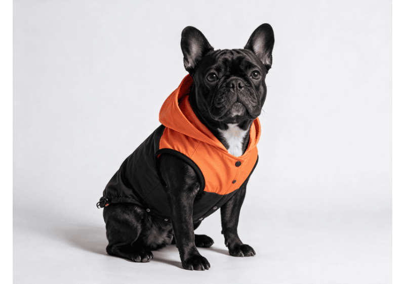 BLACK&ORANGE