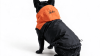 BLACK&ORANGE