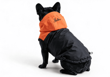 BLACK&ORANGE BLACK&ORANGE