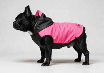 PINKY