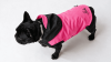 PINKY