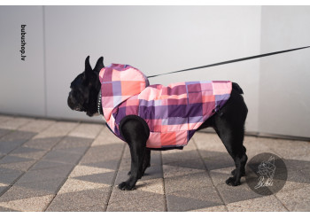 PINK POWDER ROOM ar stepētu oderi