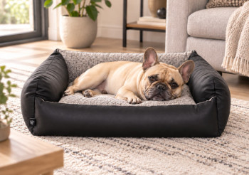 BLACK SOFA