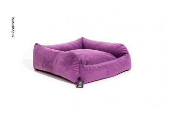 VIOLET VIOLET