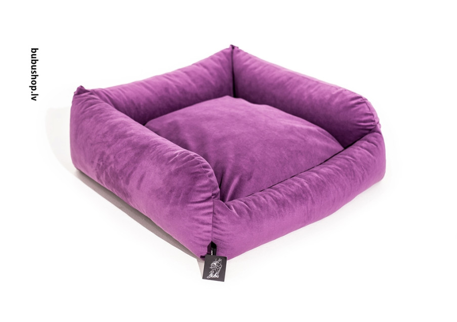 VIOLET VIOLET