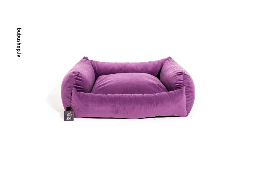 VIOLET VIOLET