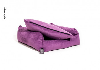 VIOLET VIOLET